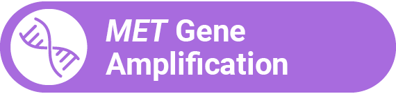 MET Gene Amplification