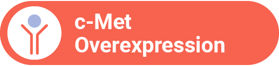c-Met Overexpression