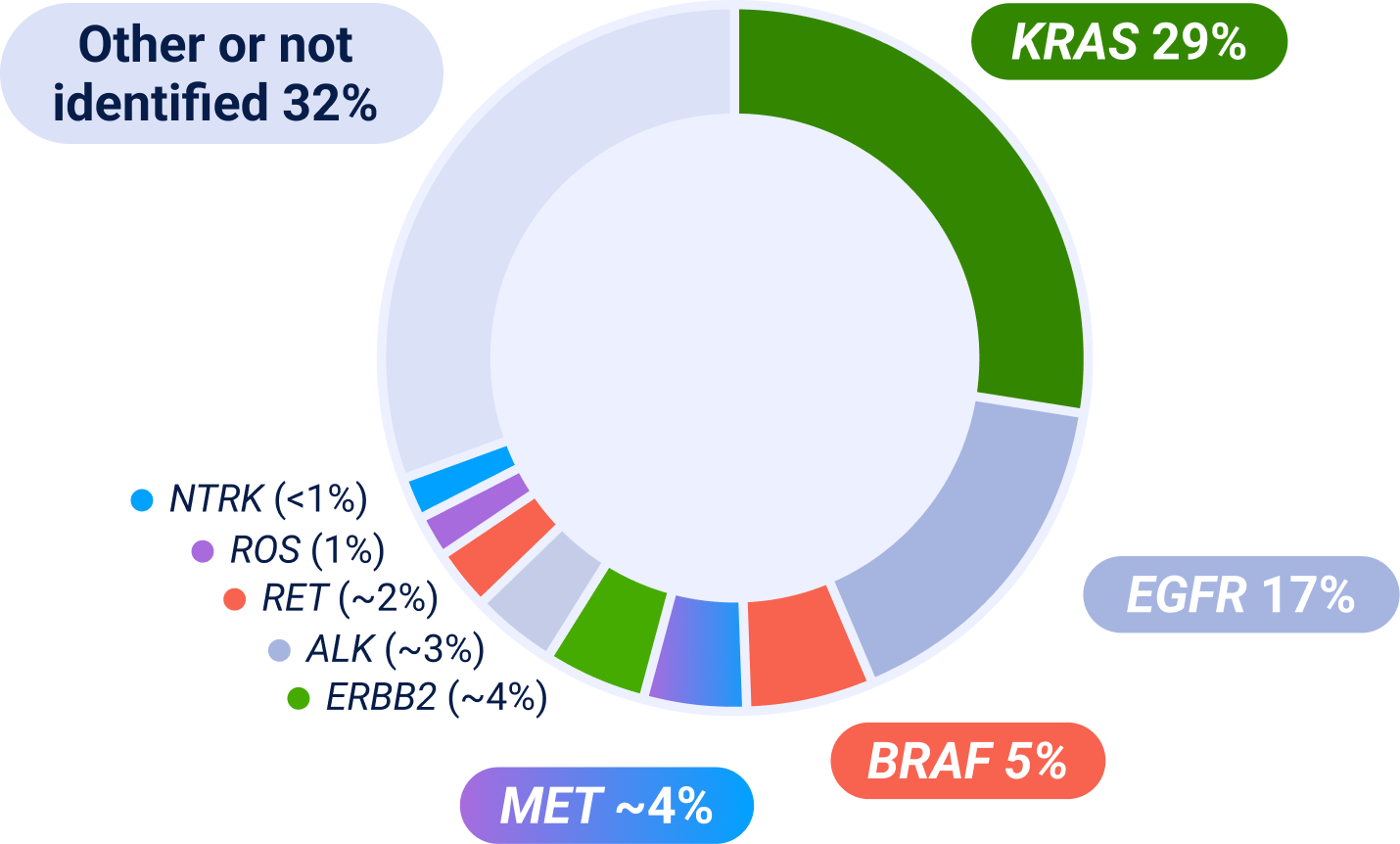 Oncogenic mutations in NSCLC graphic