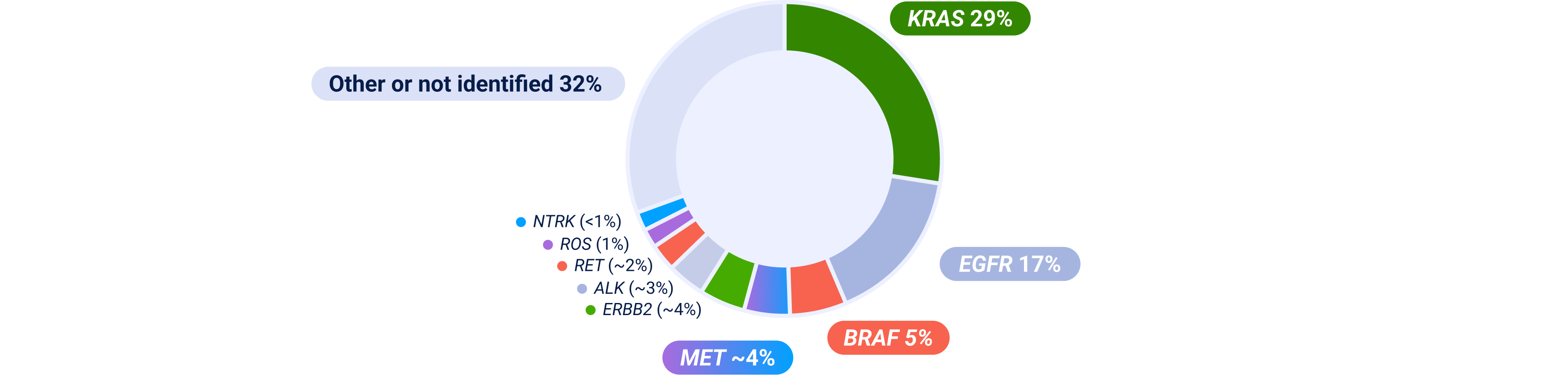 Oncogenic mutations in NSCLC graphic